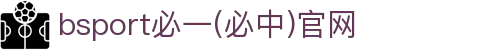 必一(运动科技有限公司)官方网站-B·Sport